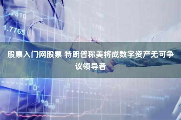 股票入门网股票 特朗普称美将成数字资产无可争议领导者
