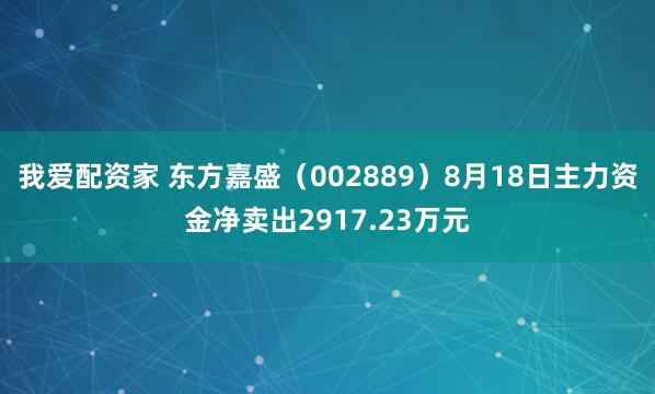 我爱配资家 东方嘉盛（002889）8月18日主力资金净卖出2917.23万元